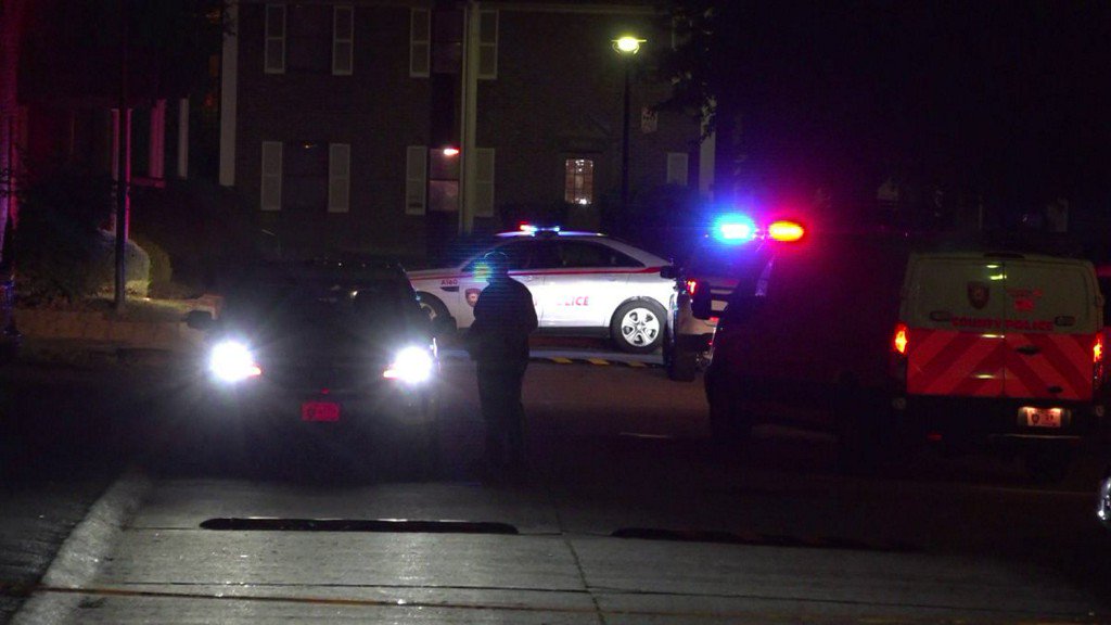 Woman shot outside Spanish Lake apartment complex    
