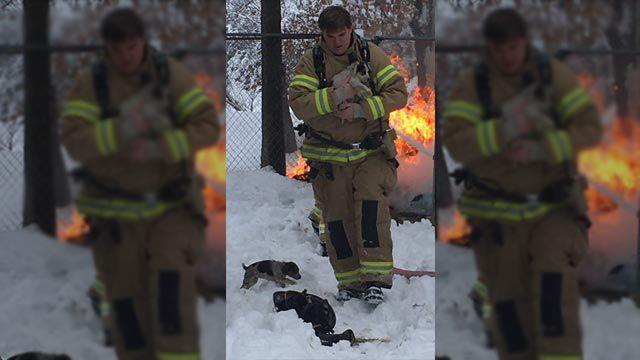 Dog dead, 4 rescued after large dog house fire in Wright City