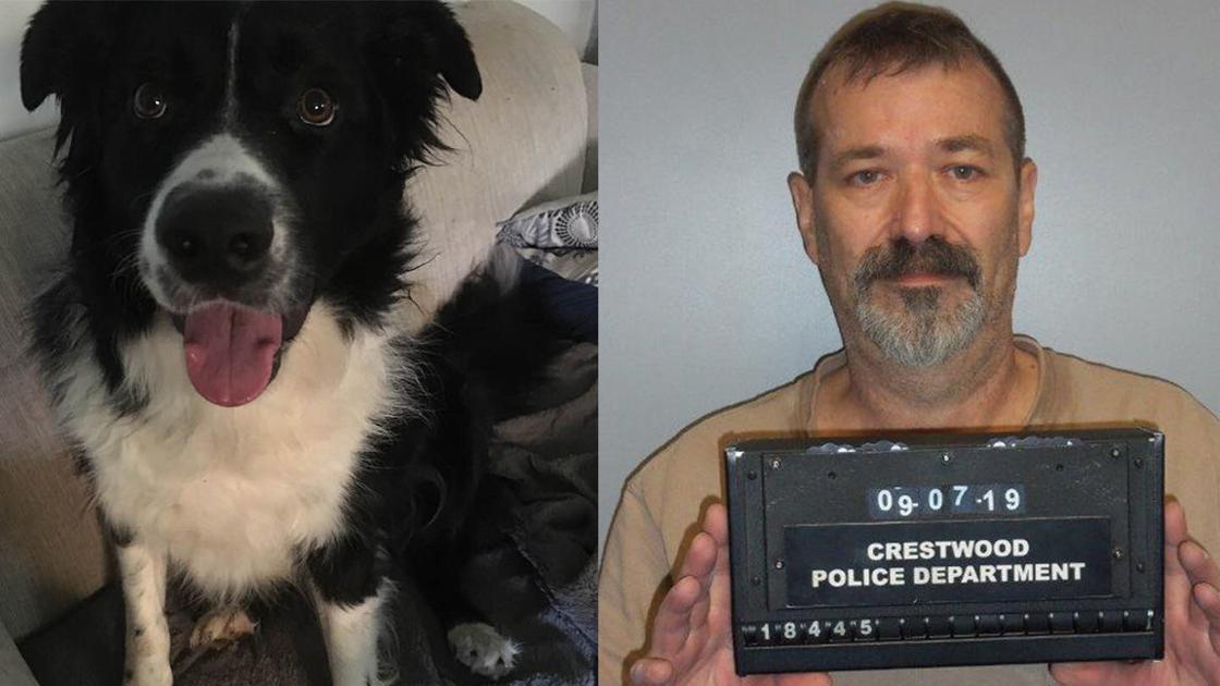 Crestwood man ordered to turn firearms into police until case decided after stabbing neighbor's dog 