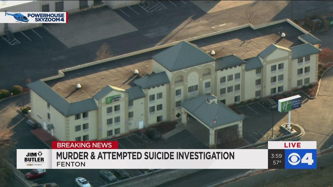 Mother, 78, stabbed daughter to death before trying to kill herself at Fenton hotel, police say 