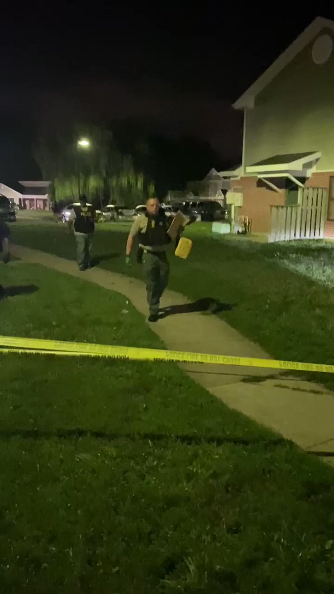 3 year old female shot in the head 