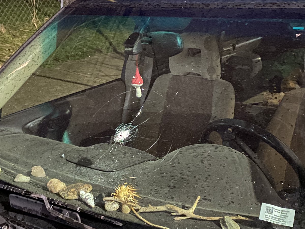 Up to 50 shots fired on Gibson, near the GROVE, according to neighbors.    two cars had windows shot out