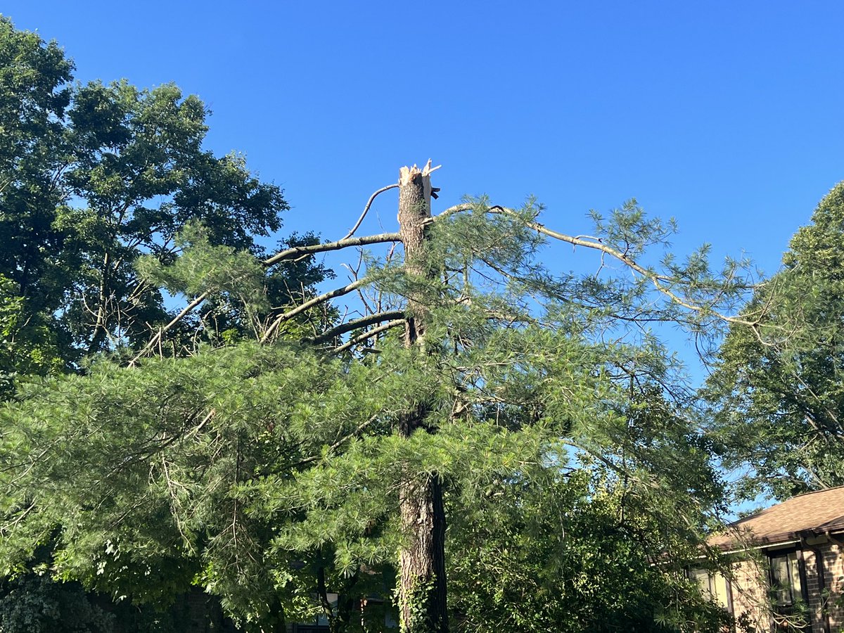 STORM DAMAGE: There are several snapped trees in the Green Leaf community in Columbia.   People who live here tell they're all okay. However, one neighbor has damage to her roof.  