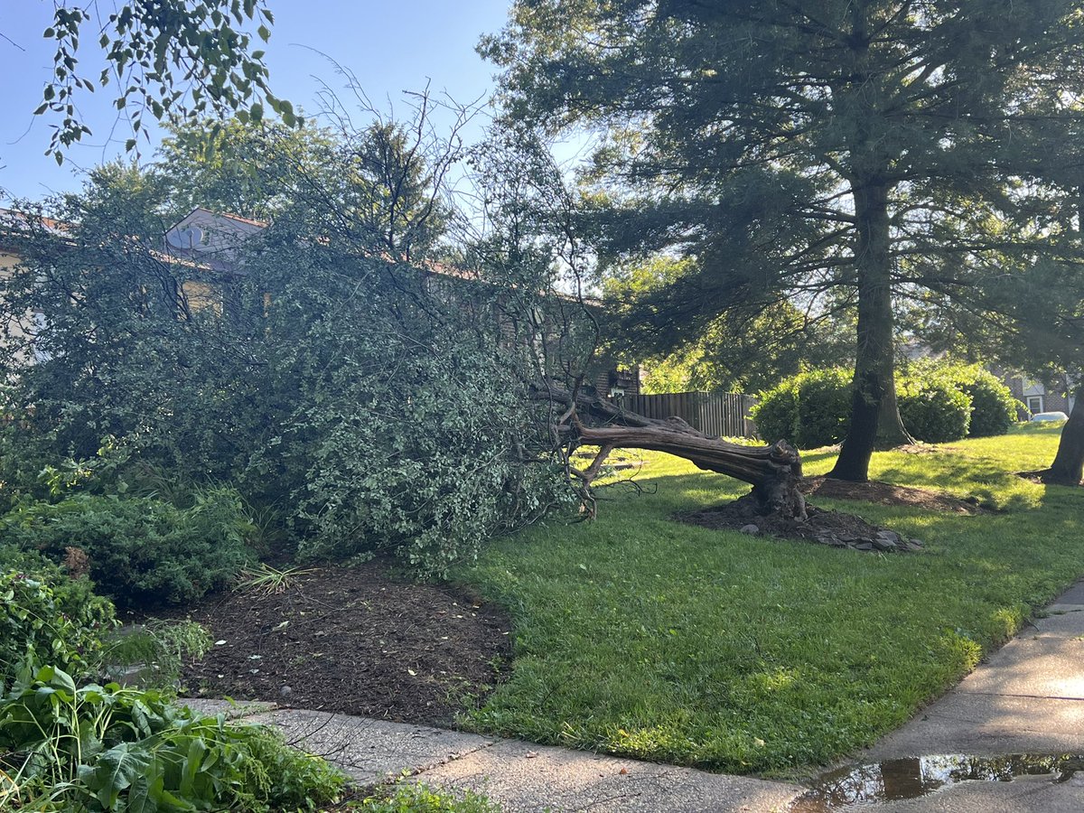 STORM DAMAGE: There are several snapped trees in the Green Leaf community in Columbia.   People who live here tell they're all okay. However, one neighbor has damage to her roof.  