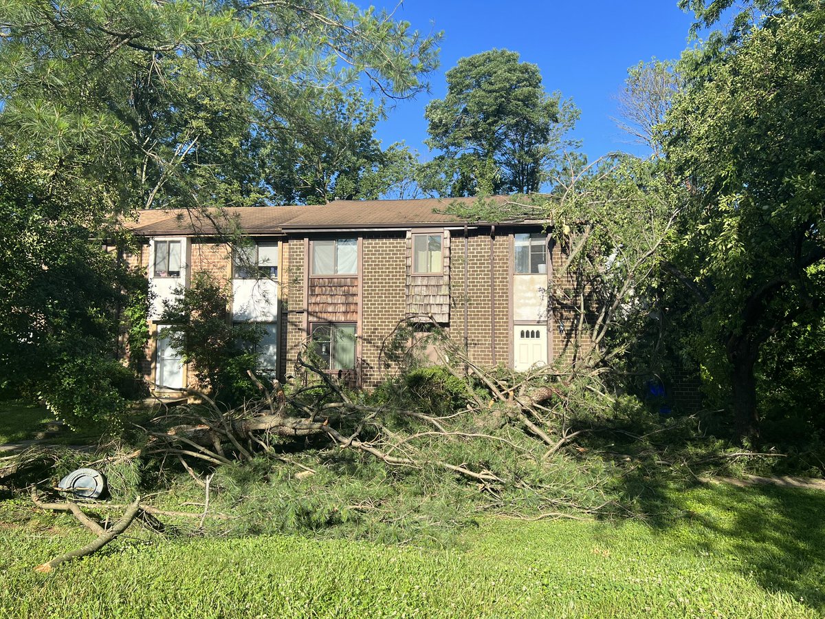 STORM DAMAGE: There are several snapped trees in the Green Leaf community in Columbia.   People who live here tell they're all okay. However, one neighbor has damage to her roof.  