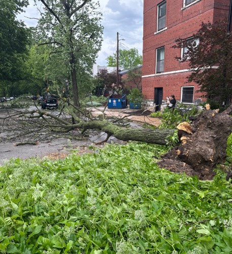 severe weather again:  reports of tornados, widespread tree, building damage, hail shattering wind-shields  In-Traffic . Clayton, Forest Park areas hit hard. 