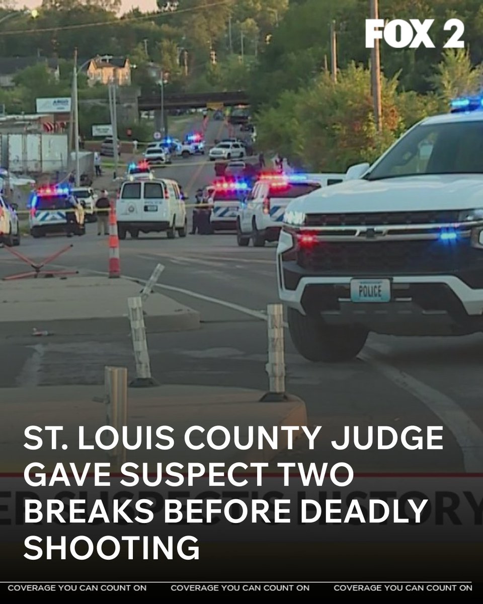 A St. Louis County man facing felony domestic violence charges was given two breaks by a judge before later being accused of murder